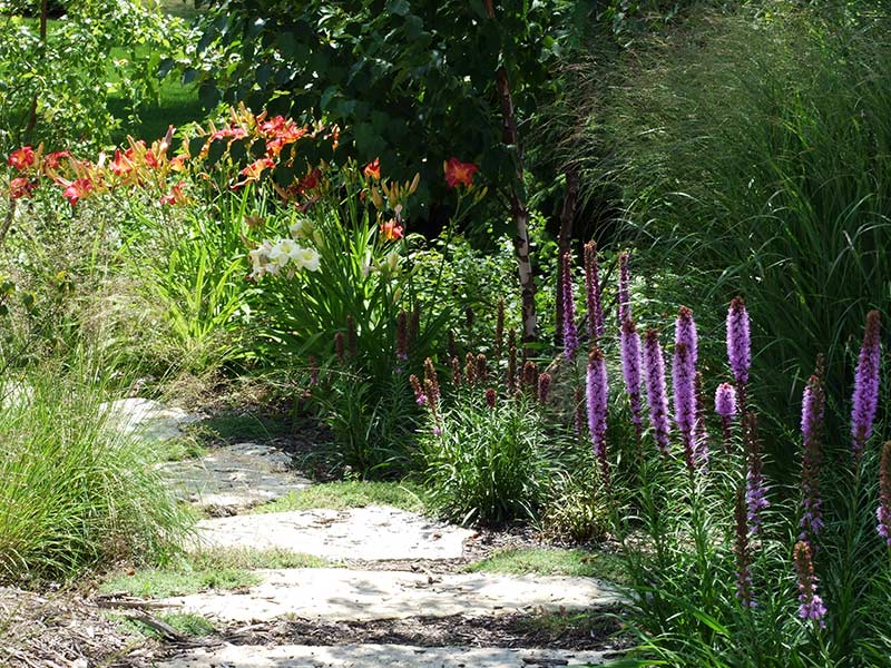 Birdsong Project: backyard landscape with stone path and colorful flowers