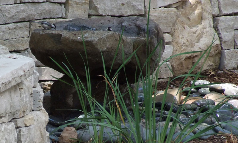 Case Project: decorative stone landscaping