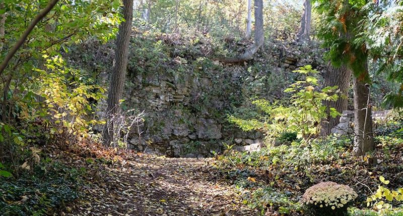 Quarry Project: backyard landscape design with wooded backyard