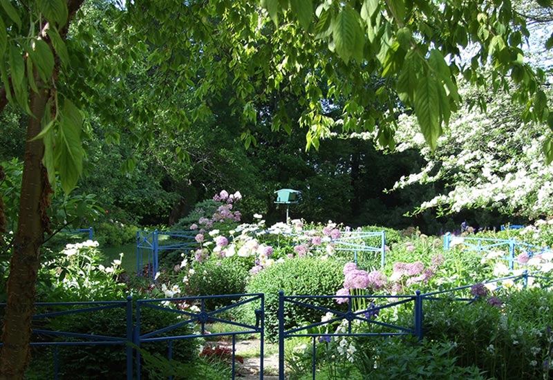 Project Blue: backyard landscape with tall trees and flower gardens