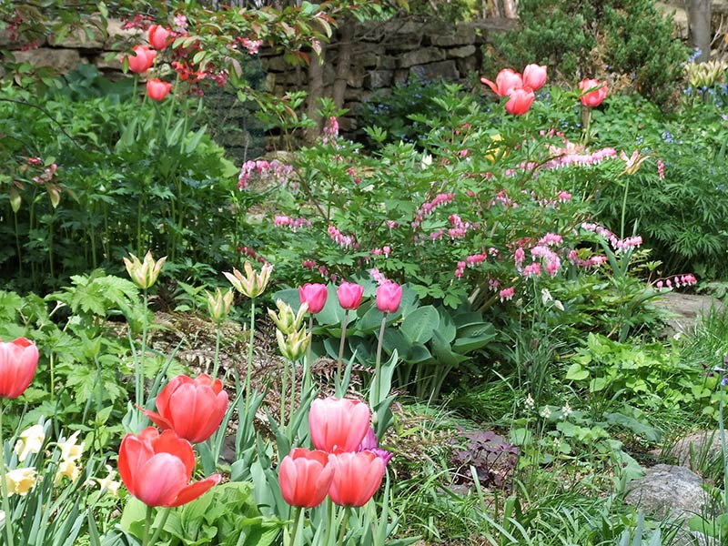 Various Landscape Projects: pink and yellow flowers in garden